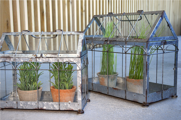 Casa Invernadero Cristal Verde M - CRISTAL ROTO